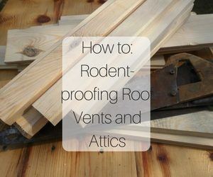 How to Get Rid of Rodents in Attics - Rodent Proof Your Attic